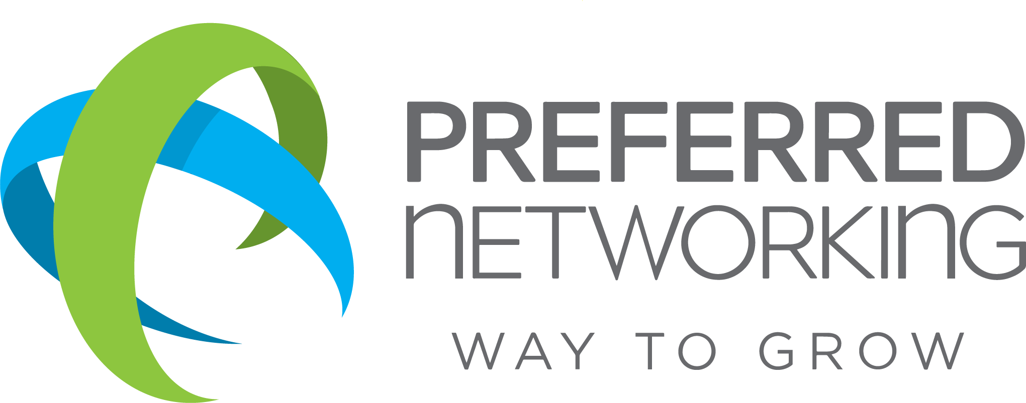 logo preferred networking